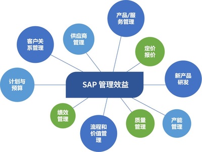 SAP外包型售后服务
